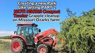 Tractor grapple project-Freeing Towering Oak trees from overgrown jungle! PT 2