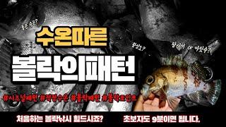 [볼락낚시/볼락포인트] 볼락초보 쉽게 잡으시려면 9분만 보세요!!