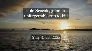 Travel to Fiji with Seacology!