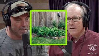 Joel Salatin on the Potential of Backyard Agriculture