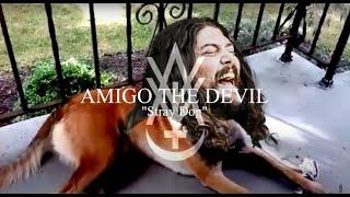 Amigo The Devil - "Stray Dog" - Official Lyric Video