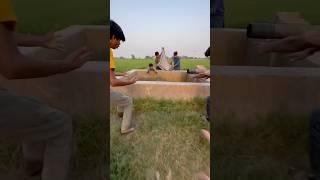 Pool me diamond  fish aa gai #pets #minivlogs #diamondfish