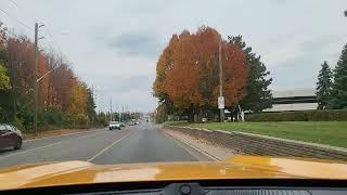 AUTUMN AT SCENIC ROAD IN MISSISSAUGA / MCLAUGHLIN ROAD / ONTARIO