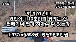 가격인하!! 시내10분거리 컨테이너 전기 지하수 다 있는땅 1,977m²(598평)평당9만5천원 급매