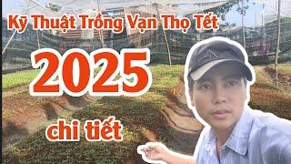 thời gian trồng vạn thọ tết 2025 - gieo vạn thọ tết ngày nào