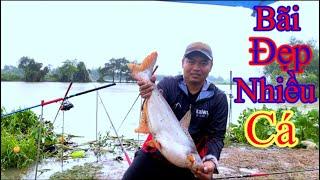 Vừa Hết Mưa Cá Ăn Làm Không Kiệp Luôn#fishing