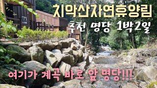 치악산자연휴양림 추천 대박 계곡뷰 명당 완벽 리뷰 1박2일