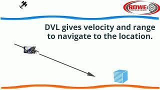 DVL Animations