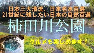 【観光・静岡・清水町・名水・清流】柿田川公園（柿田川湧水群）