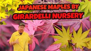 Japanese Maples by Girardelli Nursery | MrMaple Saturday Showcase