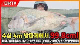 수심 4m 방파제에서 99.8cm 참돔! 제주 섬마을낚시샵 안호민 대표, 11월 20일 오후 1시경 성산 온평방파제에서 쾌거!