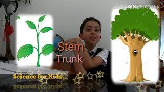 Plants - Science for kids show