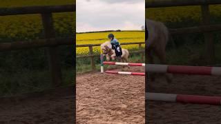 Riding my mini Shetland stallion #equestrian #horseriding #horse #stallion #shetlandpony #rider