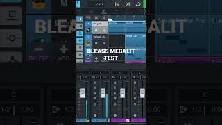 BLEASS MEGALIT TEST