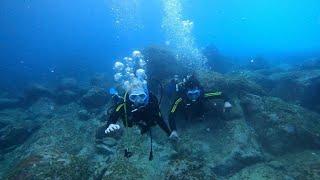 Scuba diving con Travel Sub Dive Center Tenerife