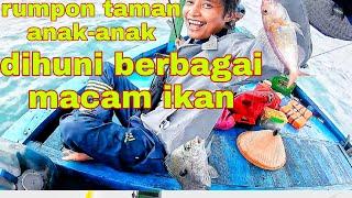 Rumpon taman anak-anak!!dihuni berbagai macam ikan guys!!