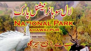 Lal Suhanra National Park | National Park South Punjab | Bahawal pur.