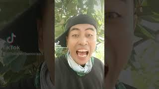 felix baskog vlog support share tempol of the keng song