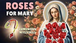 Roses LEGO Build and Prayer for MARY! Luminous Mysteries.