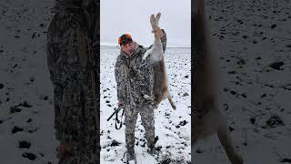 ДОБЫЛ ЗАЙЦА ОДНИМ ВЫСТРЕЛОМ. #охота #hunting #top #huntingrussia #природа #жизнь