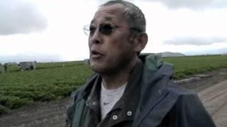 Chat with farmer Steve Sakuma of Sakuma Bros Farms (part 1 of 2)