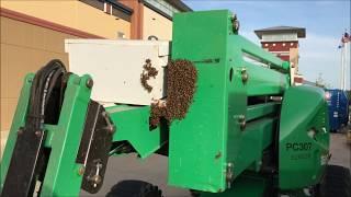 Honeybee Swarm on 30 Foot Cherry Picker