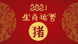 2021年十二生肖运势——猪