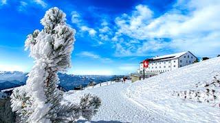 Ice-cold winter wonderland ️ Experience the summit of Mt Rigi in Switzerland 