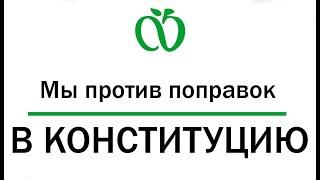 Молодёжное Яблоко против поправок в конституцию!