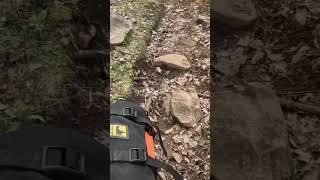 Calabogie High Falls: Ride with Rooster
