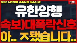 [유한양행 주가전망] 저녁 10시 30분 긴급속보! 대폭락 시그널 발생! 모조리 다팔고 떠나라! #유한양행목표가 #유한양행주식 #유한양행주식전망