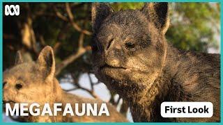 First look | Megafauna: What Killed Australia's Giants? | ABC iview