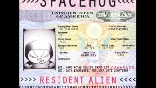 SPACEHOG - In the Meantime