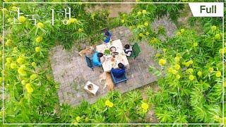 [Full] 한국기행 - 바람의 언덕 - 제5부 욕심없는 느린 바람 20170915