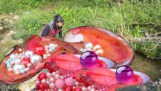  The girl picked up the pink clam, and the charming pearl captivated her heart