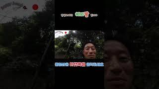 [일본 여행 ](ep. ) 첫 일본 여행 ~  오노미치 ..  고양이 없는 고양이 마을 #travel #배낭여행