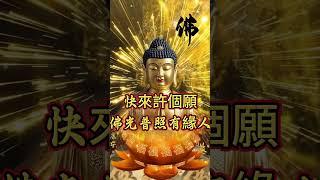 快來許個願吧，佛光普照有緣人！#佛教 #正能量 #佛法 #佛 #buddha #buddhiststory #buddhism #buddhist #观世音菩萨#人生感悟 #熱門