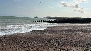 Eastbourne, East Sussex, England #solotravel #seagulls #beach #natureengland #seafront #solotraveluk