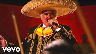 Vicente Fernández - Hermoso Cariño (En Vivo)