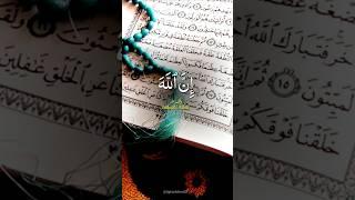 #deen #5minsdeen #islamicshorts #quotes #deensayings #quran