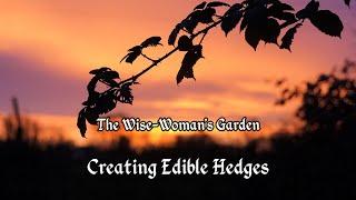 Creating Edible Hedges - The Wise-Woman's Garden