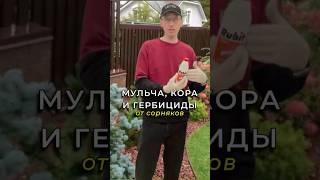 Что поможет от сорняков на участке: укрывной материал, кора и гербициды? #всаду #сорняки #мульча