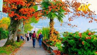 Switzerland  Montreux, scenic walk in the Promenade