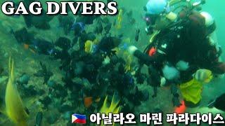  아닐라오 스쿠버 다이빙 GAG DIVERs SCUBA TEAM