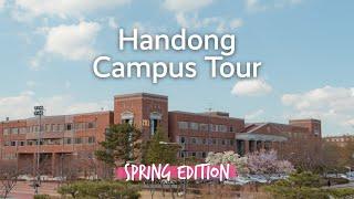 Handong Global University Cherry Blossom Campus Tour: Spring Edition 