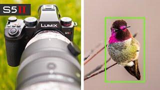 Panasonic S5II Review for Wildlife/Bird Photography