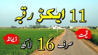 Agriculture land for sale in Pakistan Punjab | Zameen for sale | Jhorar point | EP72