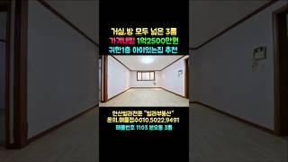 안산빌라매매 가격내려서 저렴하게 나온 쓰리룸 입니다. 매매가격 1억2500만원. 거실,방 모두 넓은 빌라. 본오동 각골초등학교,버스정류장 도보3분