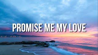 Promise Me My Love (Lyric Video) | Jungkook ft Emma Heeters