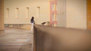 A Study in Details: The University of Malta Msida Campus